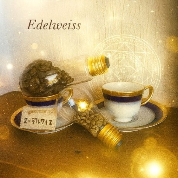 画像1: エーデルワイス＊白銀の聖域に捧ぐ豆 (1)