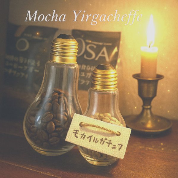 画像1: モカ イルガチェフ＊ 精霊の森の果実 (1)