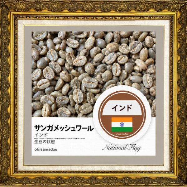 画像2: サンガメッシュワール＊インドの聖泉が育む森の余韻 (2)