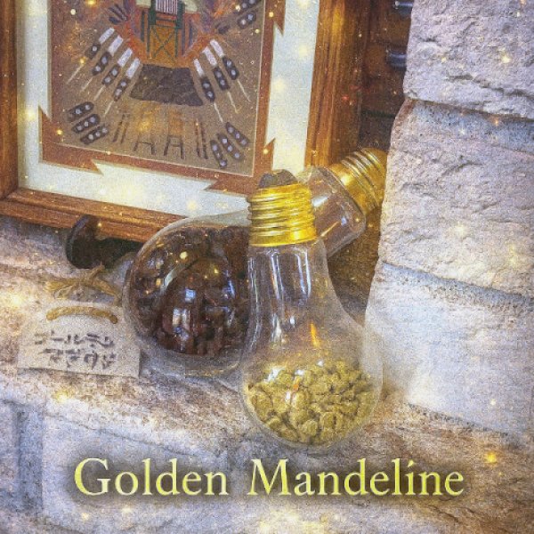 画像1: ゴールデンマンデリン＊大地が鍛えた闘士の霊豆 (1)