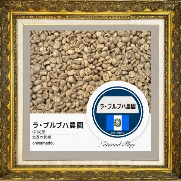 画像2: ラ・ブルブハ農園＊霧峰の風にほどける柑橘と甘露 (2)