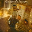 画像1: グァテマラ ピーベリー (1)