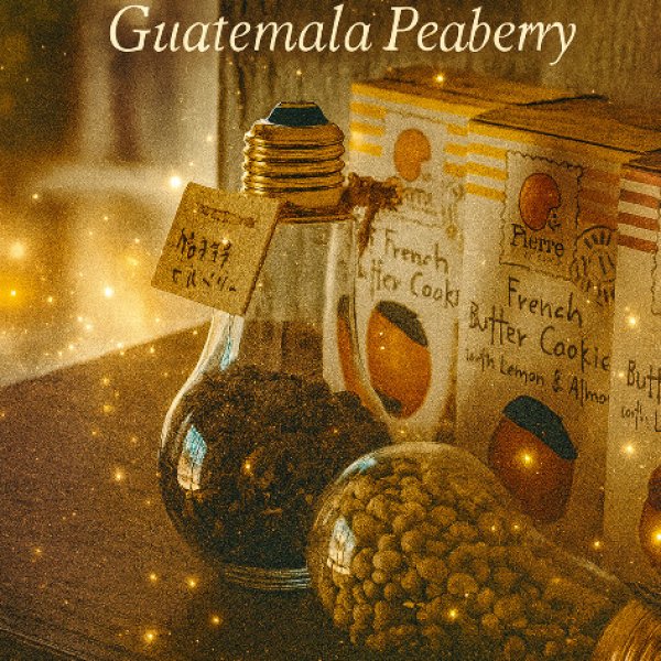 画像1: グァテマラ ピーベリー＊焙煎士が磨きし宝珠の輝き (1)