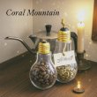 画像1: コーラルマウンテン＊朝霧の如き透明感を湛える逸品 (1)