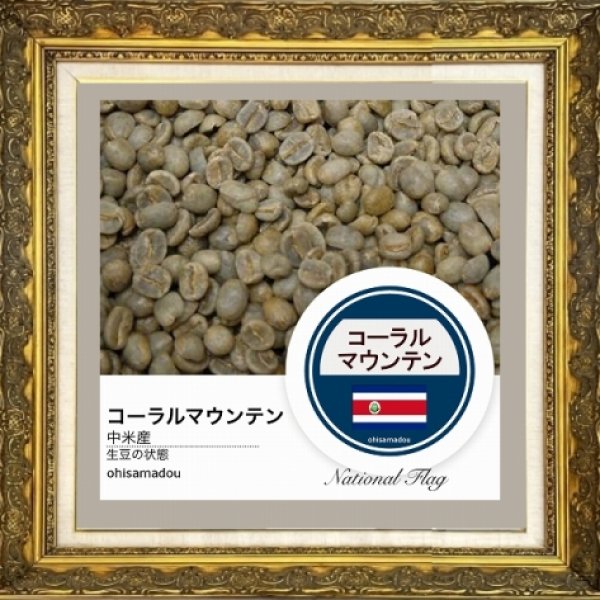 画像2: コーラルマウンテン (2)