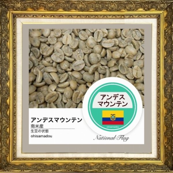 自家焙煎珈琲豆 南米産 アンデスマウンテン