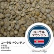 画像2: コーラルマウンテン (2)